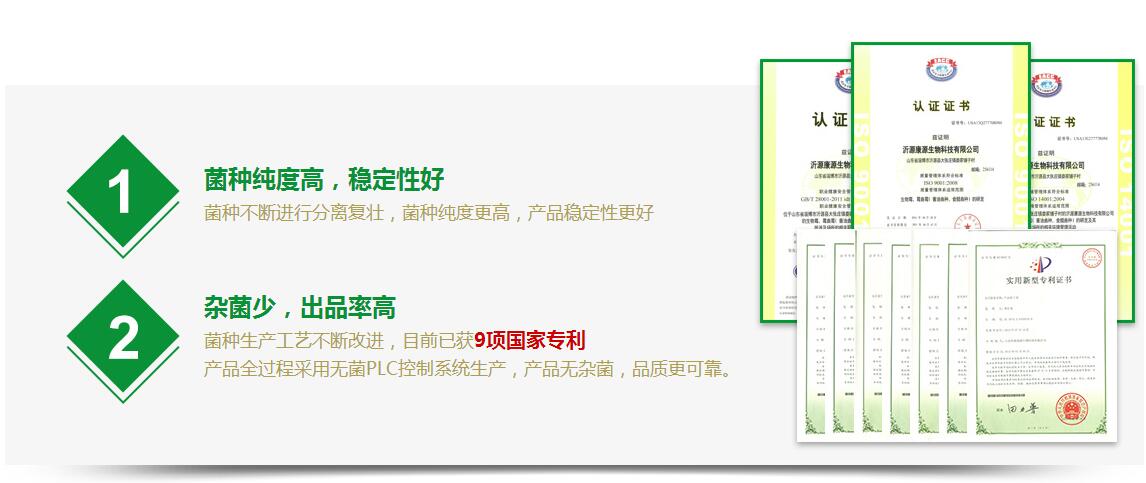 5bce8d9d1d2d8.jpg 13.jpg